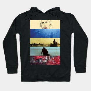 Foals Albums Hoodie